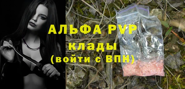 герыч Каменногорск