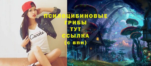 ALPHA PVP Мегион