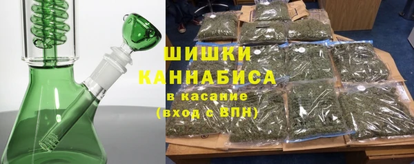 прущие грибы Магас