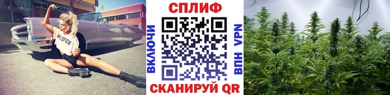 МАРИХУАНА Amnesia Никольское